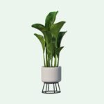 Home Decor Plant Pot