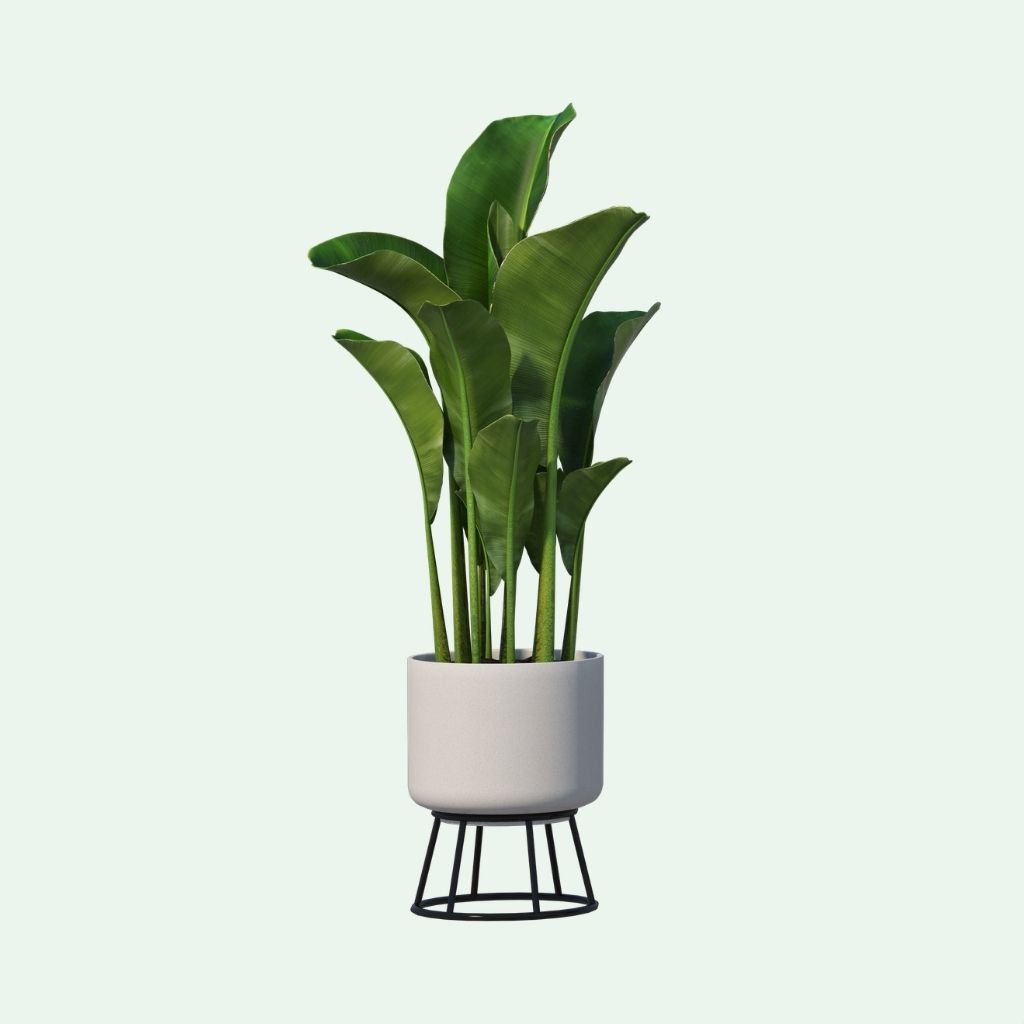 Home Decor Plant Pot
